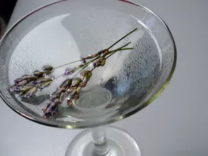 __opt__aboutcom__coeus__resources__content_migration__serious_eats__drinks.seriouseats.com__images__20110713lavenderprim-a3a14f69b994434a8e0e4a4e78ca678c