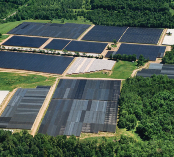 许氏全球购服务：轻松解决花旗参购买难题